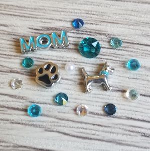 🦉"Dog Mom" Charm Set